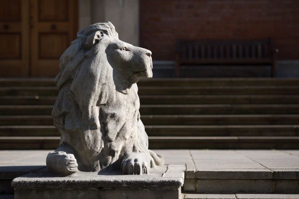 A summer makeover of the South Ken campus