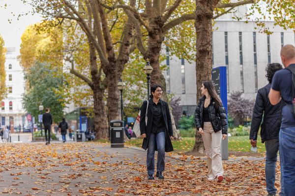 What did you do this summer?