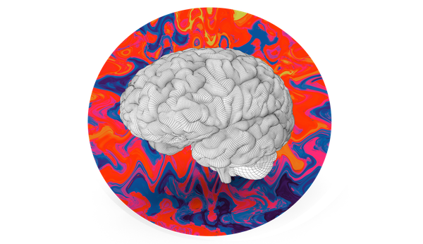 A trip toward new mental health treatment