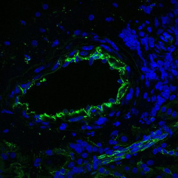 This Week in Science 10/10/2025