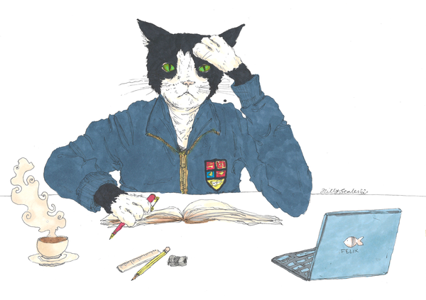 The Felix internship survey is open!