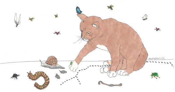 When the buzzing stops