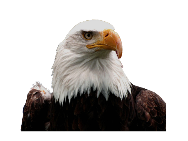 Trump’s foreign policy is deeply American