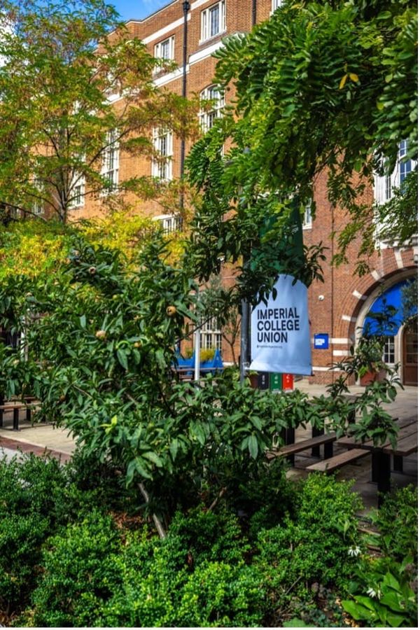 Interview with Lucy Hand, Head Gardener