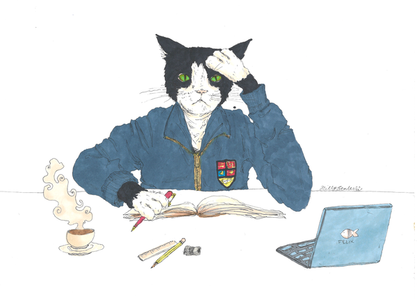 Exploring Imperial students’ relation with internships