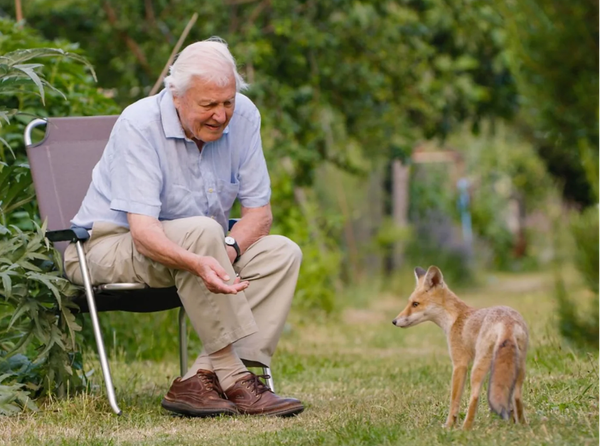David Attenborough’s Wild London