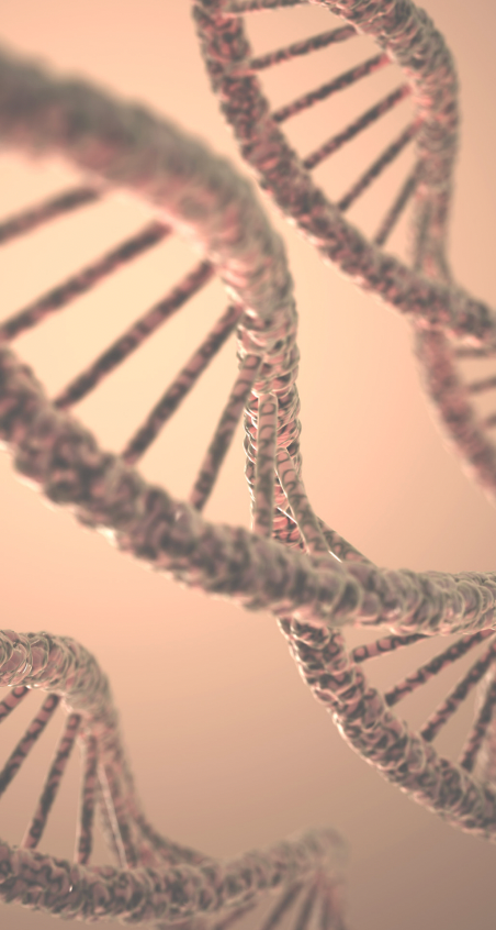 Whose genome are we studying?