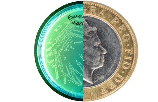 Imperial’s deep tech entrepreneurial environment:  how do science ideas sell?