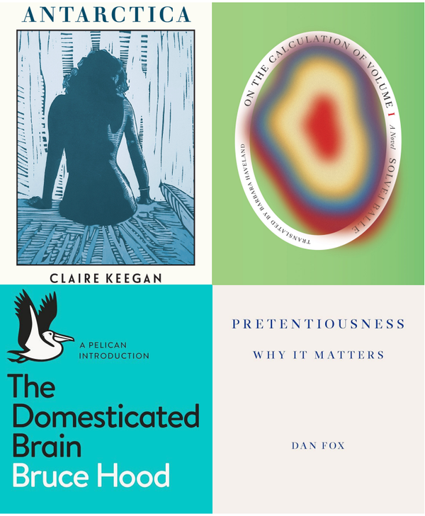 Recommendations: summer reads