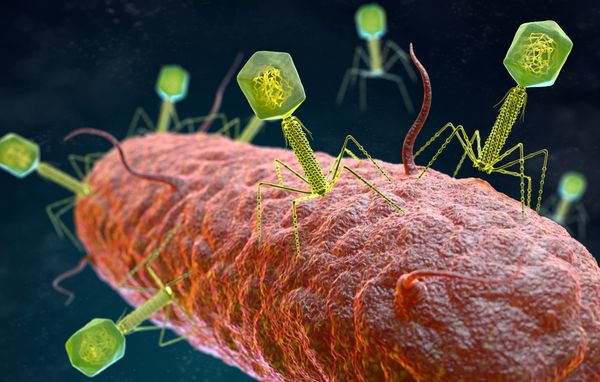 How much of a reality is AI-enabled biology?
