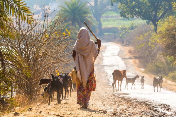 Climate justice for a just world