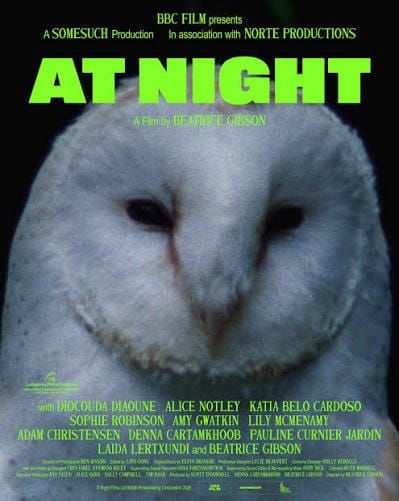 At Night