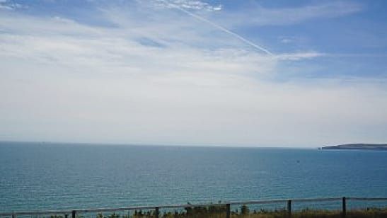 Time to get your hops up: Felix’s guide to Hop-on Hop-off bus tours