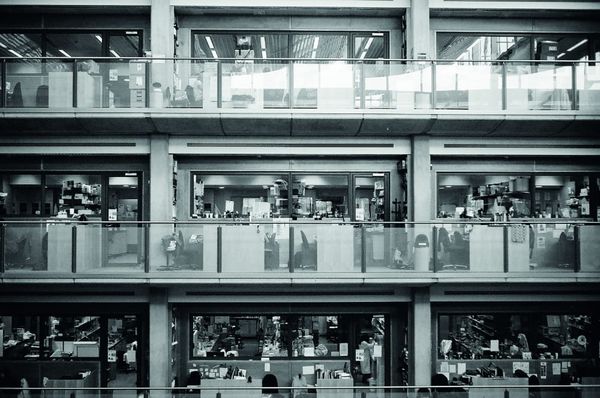 Inclusivity, disability, employment – to disclose or not disclose?