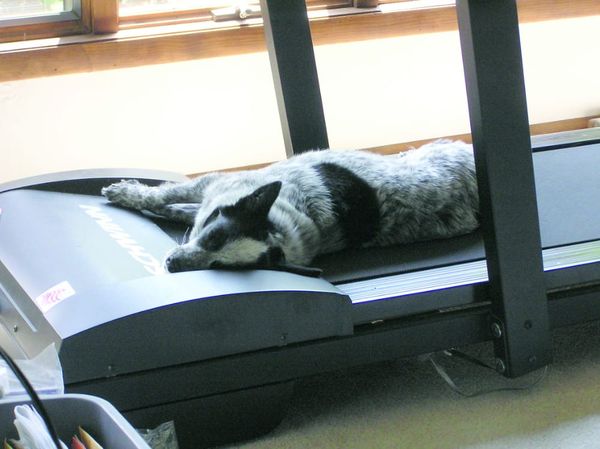 Ethos Gym does not need to expand