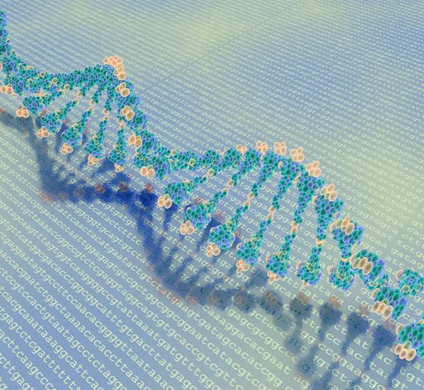 Say it with DNA – how our genetic code could hold the key to our data storage problems