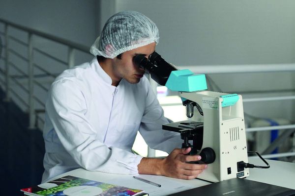 Are robots the future of  tissue regeneration?