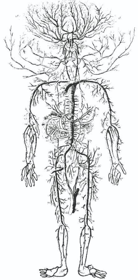 Organs-on-chips to study anti-cancer effects of drugs