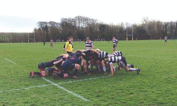 Tough loss for 1st XV against Sussex