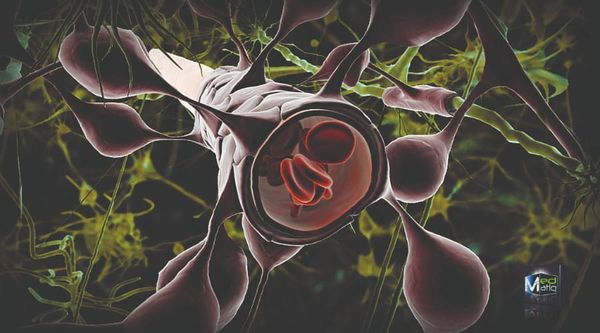 Crossing the blood-brain barrier: the final frontier