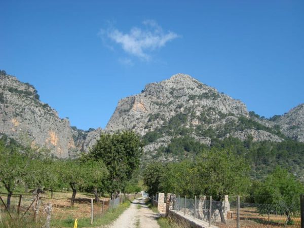 Mallorca – more than just a party island!