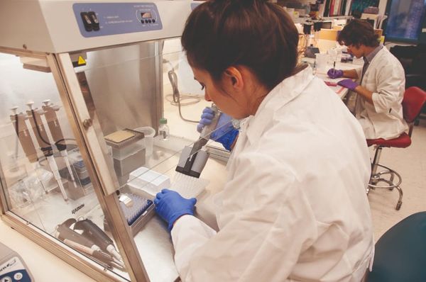 Lab-grown heart  used for drug safety testing