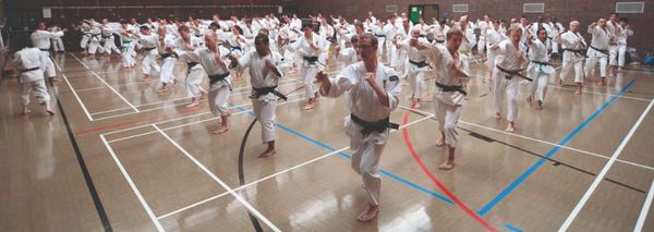 Imperial Union Shorinji Kempo joins international seminar