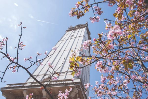 Imperial needs to do more for sustainability and climate change, report argues