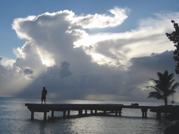 Connect with Conservation: how we can all help