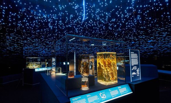 Life in the Dark: a momentary escape from the hustle and bustle of London