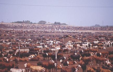 The meat of the problem