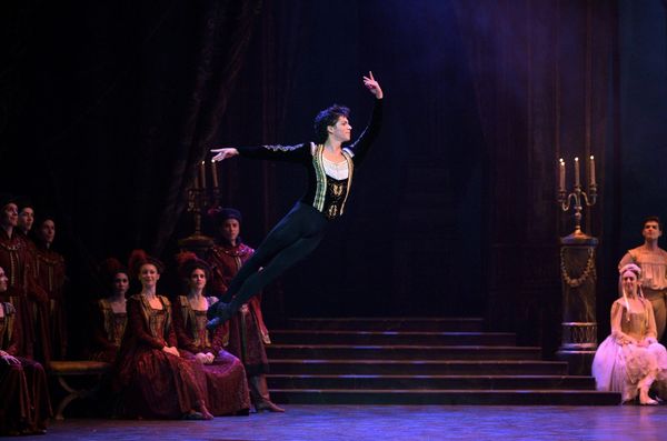 Swan Lake – A Lively Traditional Performance