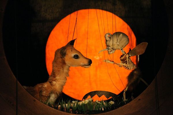 An Homage to Joie De Vivre