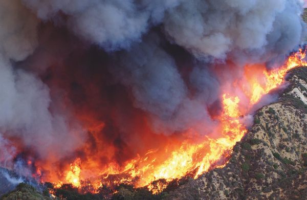 California Fires Put Pressure on the US to Improve Environmental Policies