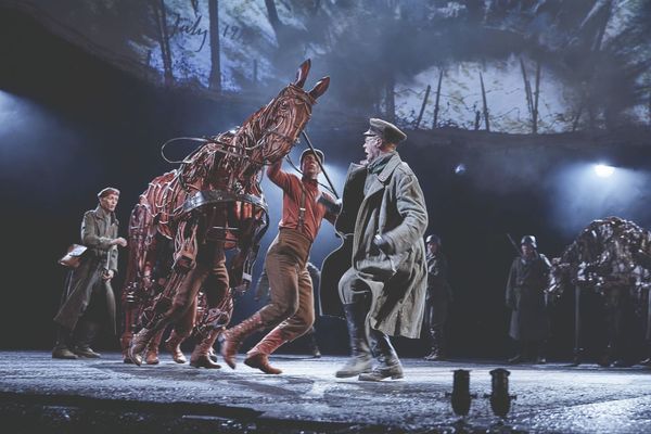 War Horse: A Year Later