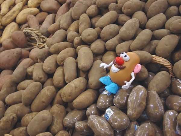 Don’t be a couch potato: rationing on a student loan