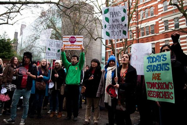 Disappointment as Senate sides with Life Sciences cuts