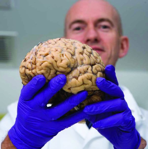 Imperial’s Dr Dexter comes under fire for ‘degrading’ exhibition