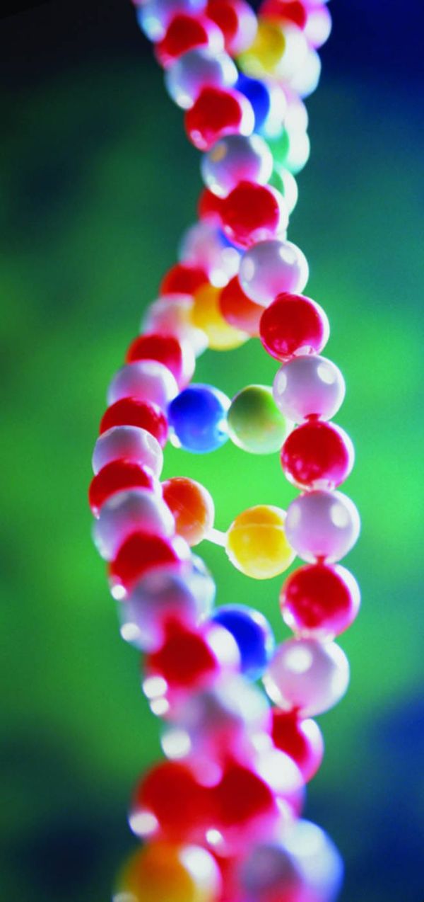 Superfast genome sequencing on a chip