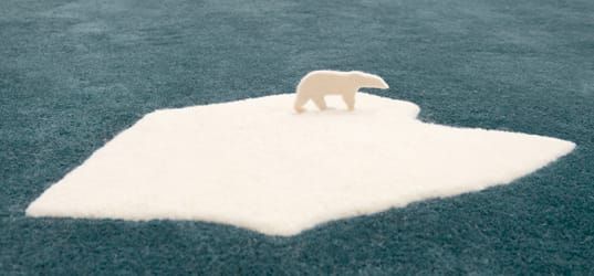 "Radical change" needed to fight CO2 emissions