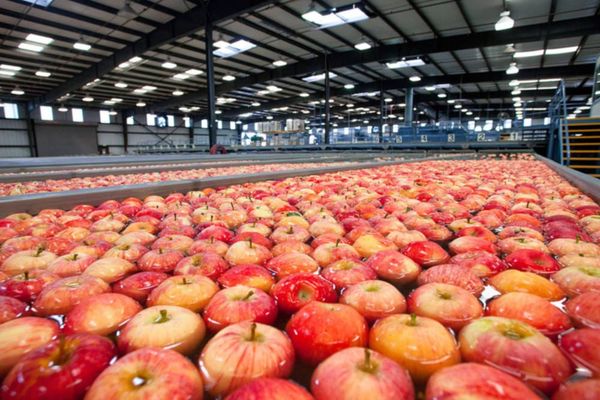 How Apple’s iPhone stands in the current market, or: ‘How we Apples swim’