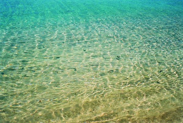 Through the language glass