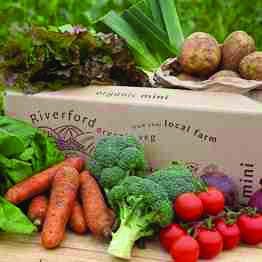 The wisdom of nature