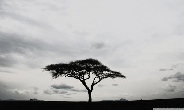 Featured Fiction: Revenge!