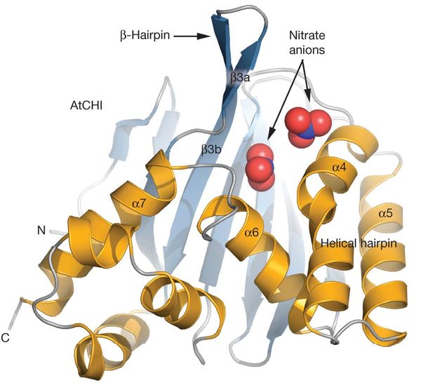 Trio of proteins to ease food demand