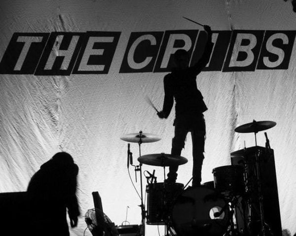 The Cribs are back on top