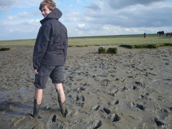 Wallowing in the Wadden