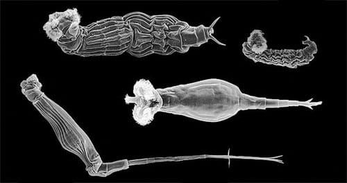 Sex? Completely Overrated