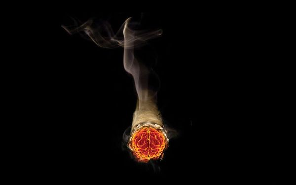 Don’t let your heart rule your head
