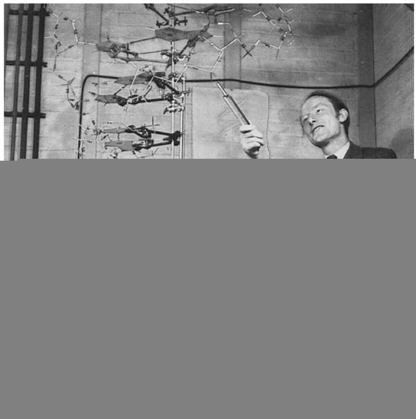 Quadruple DNA? Go home DNA, you’re drunk